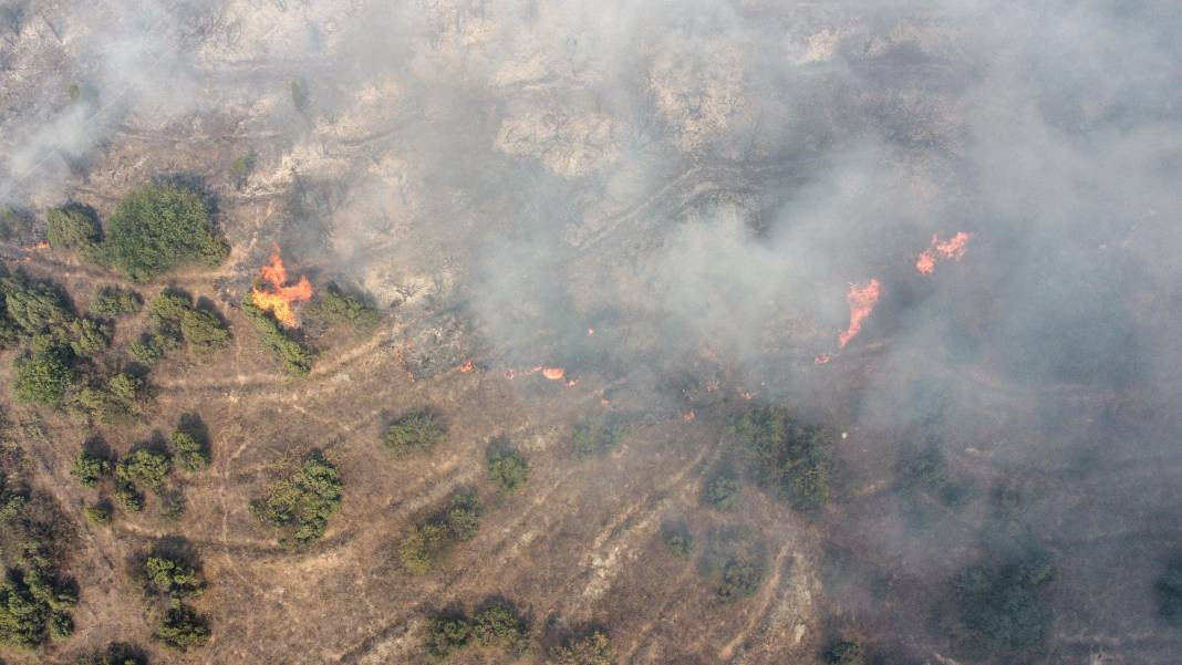 Bilecik'te orman yangını! Havadan ve karadan müdahale ediliyor - Resim: 6
